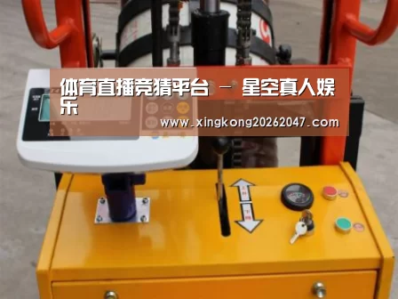 星空体育案例展示三(图1)