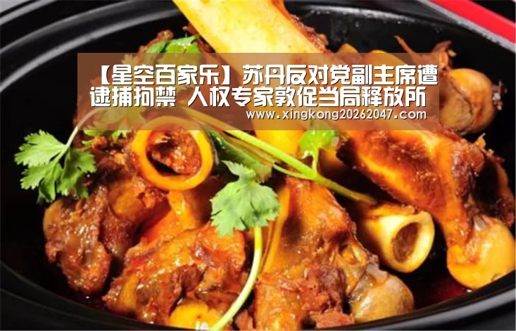 【星空百家乐】苏丹反对党副主席遭逮捕拘禁 人权专家敦促当局释放所有政治犯(图3) 星空娱乐