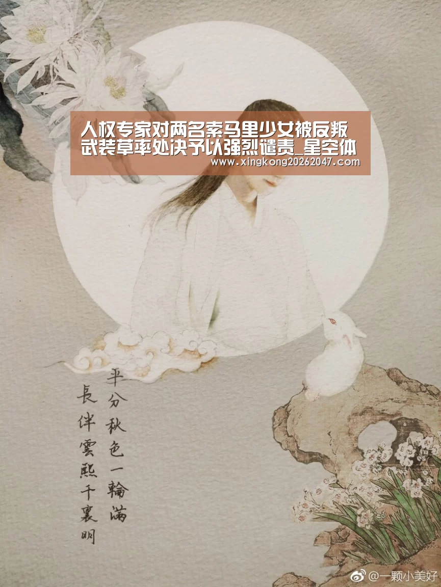人权专家对两名索马里少女被反叛武装草率处决予以强烈谴责_星空体育(图1) 星空百家乐