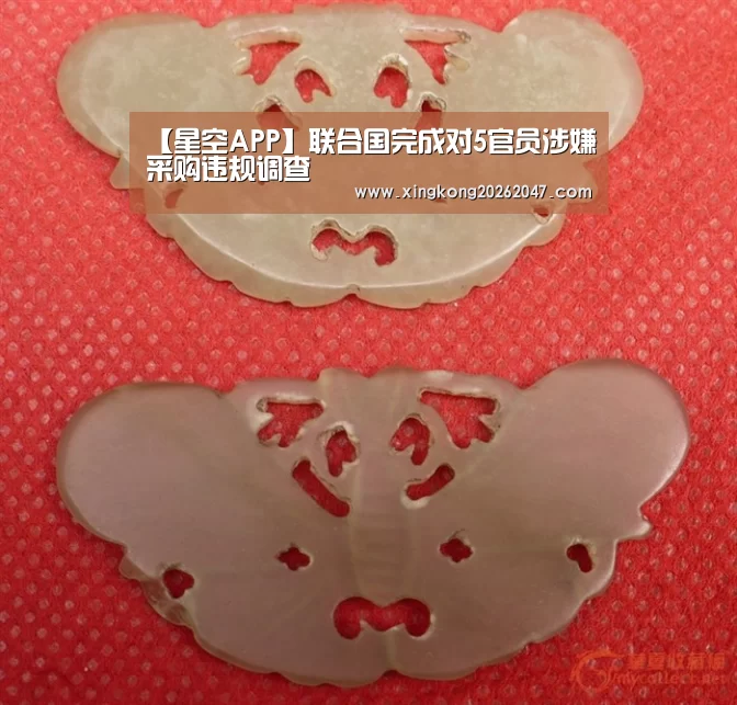 【星空APP】联合国完成对5官员涉嫌采购违规调查(图2) 星空百家乐