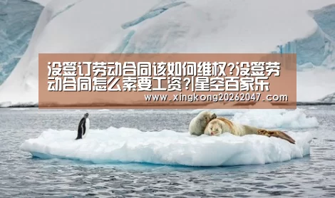 没签订劳动合同该如何维权?没签劳动合同怎么索要工资?|星空百家乐(图2) 星空体育