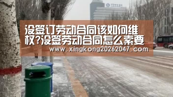 没签订劳动合同该如何维权?没签劳动合同怎么索要工资?|星空百家乐(图3) 星空百家乐