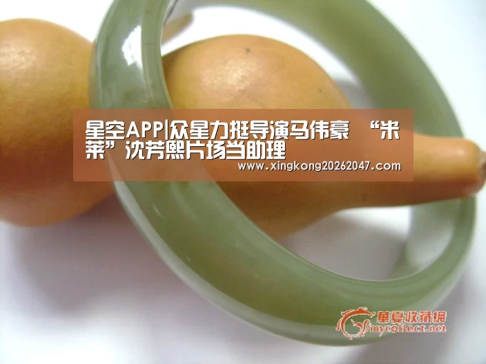 星空APP|众星力挺导演马伟豪 “米莱”沈芳熙片场当助理(图1) 星空APP