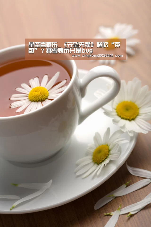 星空百家乐_《守望先锋》怒砍“茶包”?暴雪表示只是bug(图2) 星空娱乐