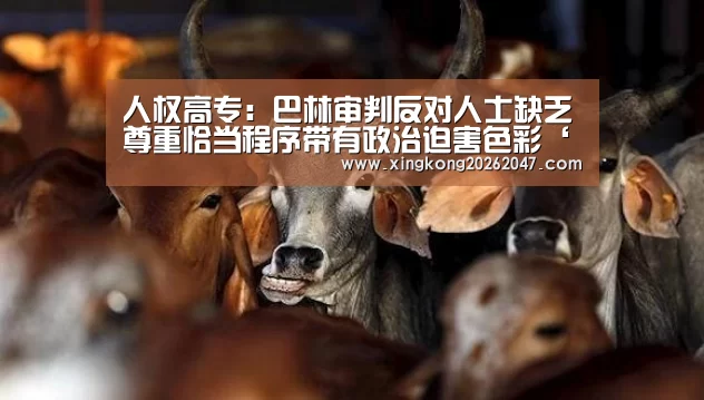 人权高专：巴林审判反对人士缺乏尊重恰当程