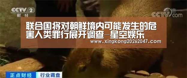联合国将对朝鲜境内可能发生的危害人类罪行展开调查-星空娱乐(图2) 星空APP