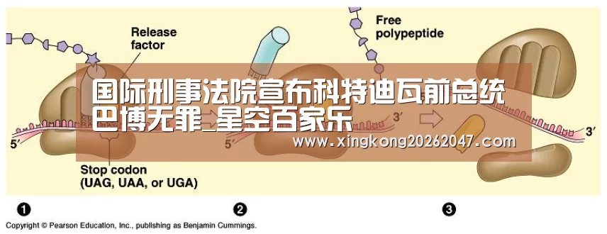 国际刑事法院宣布科特迪瓦前总统巴博无罪_星空百家乐(图3) 星空APP