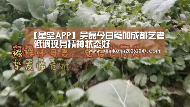 【星空APP】吴磊今日参加成都艺考 低调现身精神状态好(图1) 星空APP
