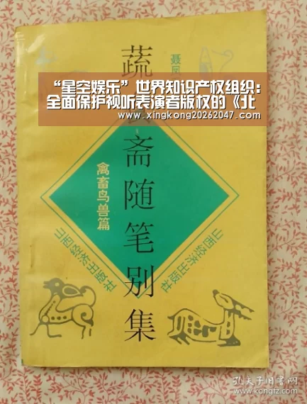 星空娱乐