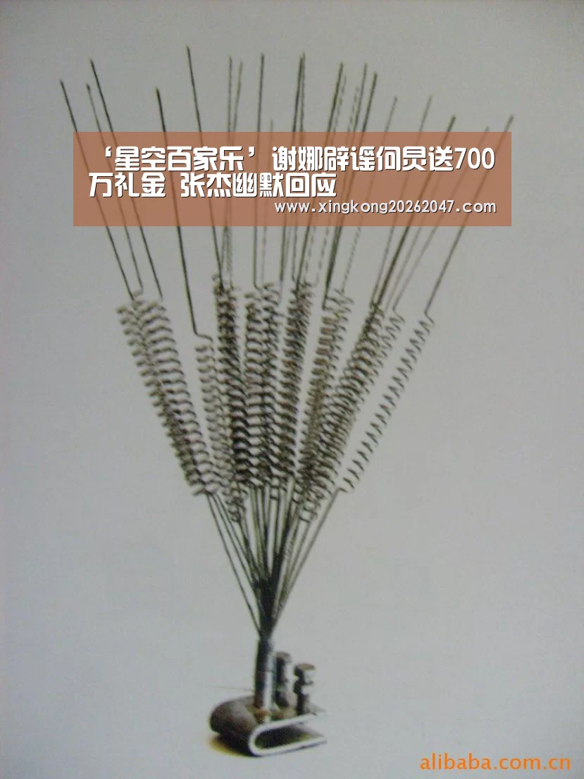 ‘星空百家乐’谢娜辟谣何炅送700万礼金 张杰幽默回应(图3) 星空APP