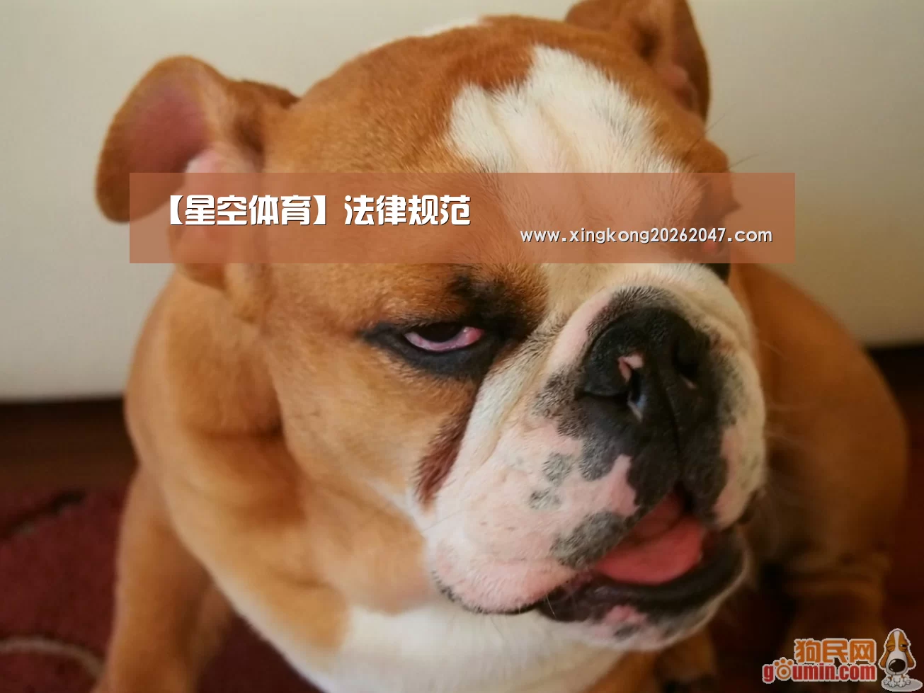 星空娱乐