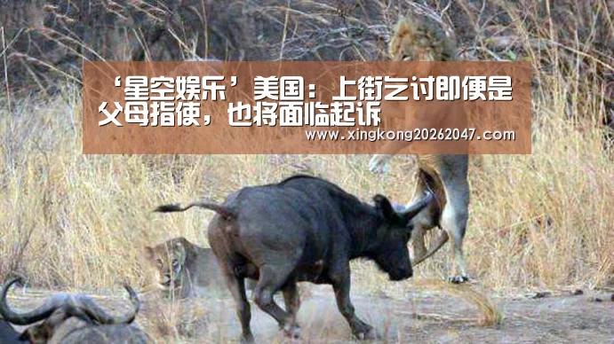‘星空娱乐’美国:上街乞讨即便是父母指使,也将面临起诉(图4) 星空娱乐