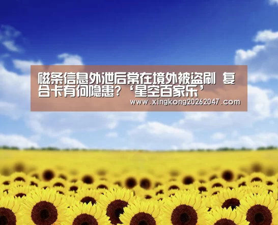 磁条信息外泄后常在境外被盗刷 复合卡有何隐患?‘星空百家乐’(图1) 星空娱乐