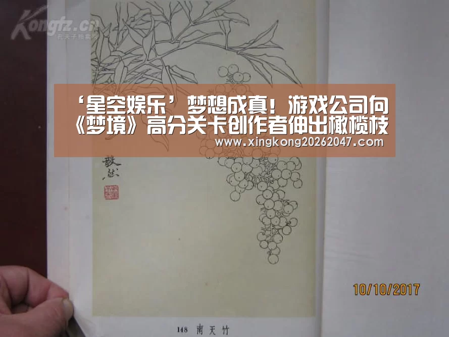‘星空娱乐’梦想成真!游戏公司向《梦境》高分关卡创作者伸出橄榄枝(图1) 星空百家乐