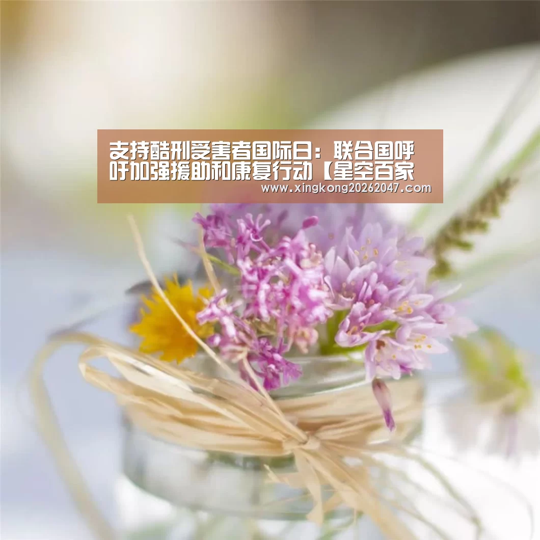 支持酷刑受害者国际日:联合国呼吁加强援助和康复行动【星空百家乐】(图4) 星空APP